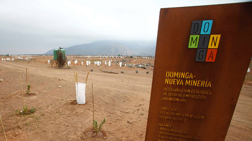 Tribunal Ambiental acoge a trámite acción de nulidad contra calificación favorable de proyecto Dominga