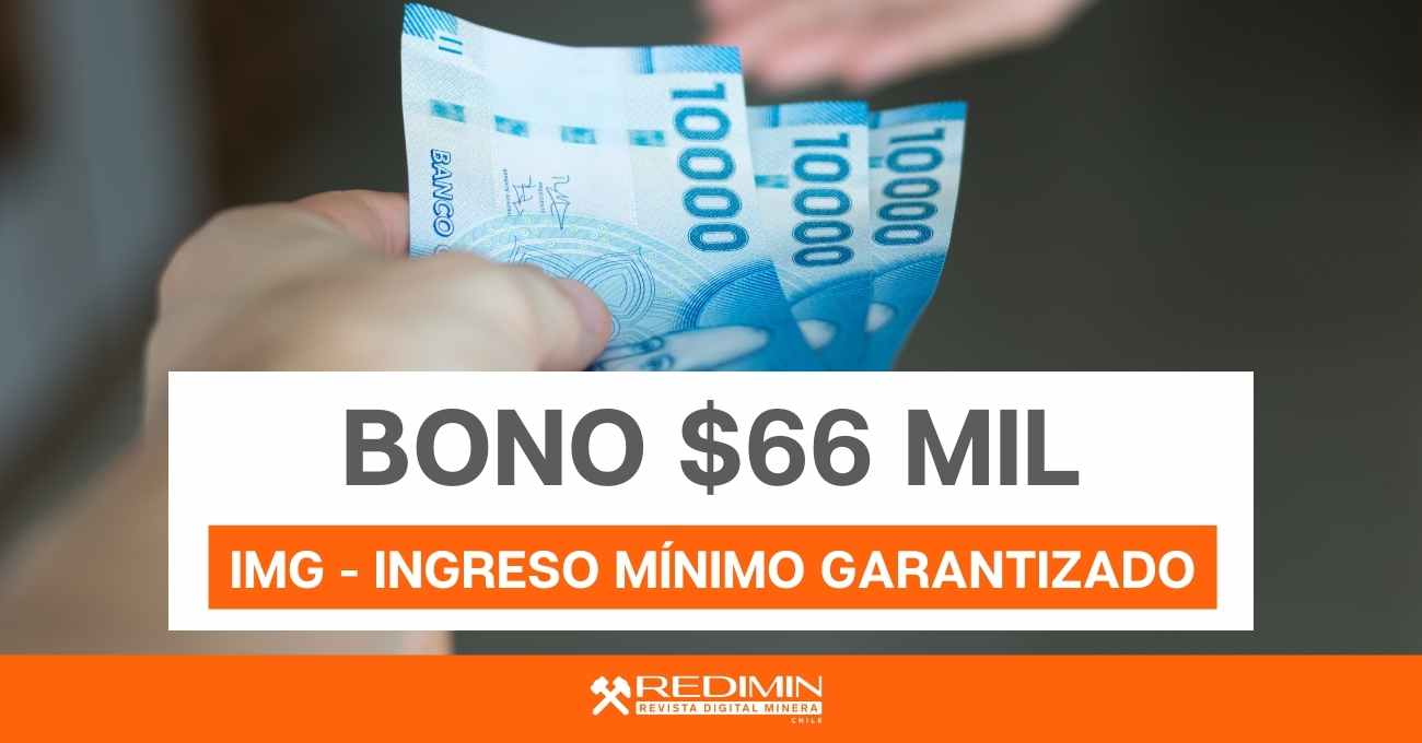 Revisa con tu RUT para solicitar bono IMG de $66 mil