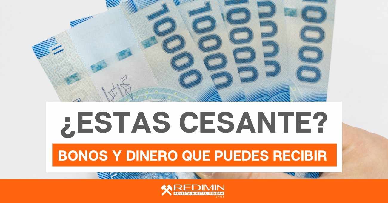 ¿Estás sin trabajo? Revisa los beneficios que puedes recibir