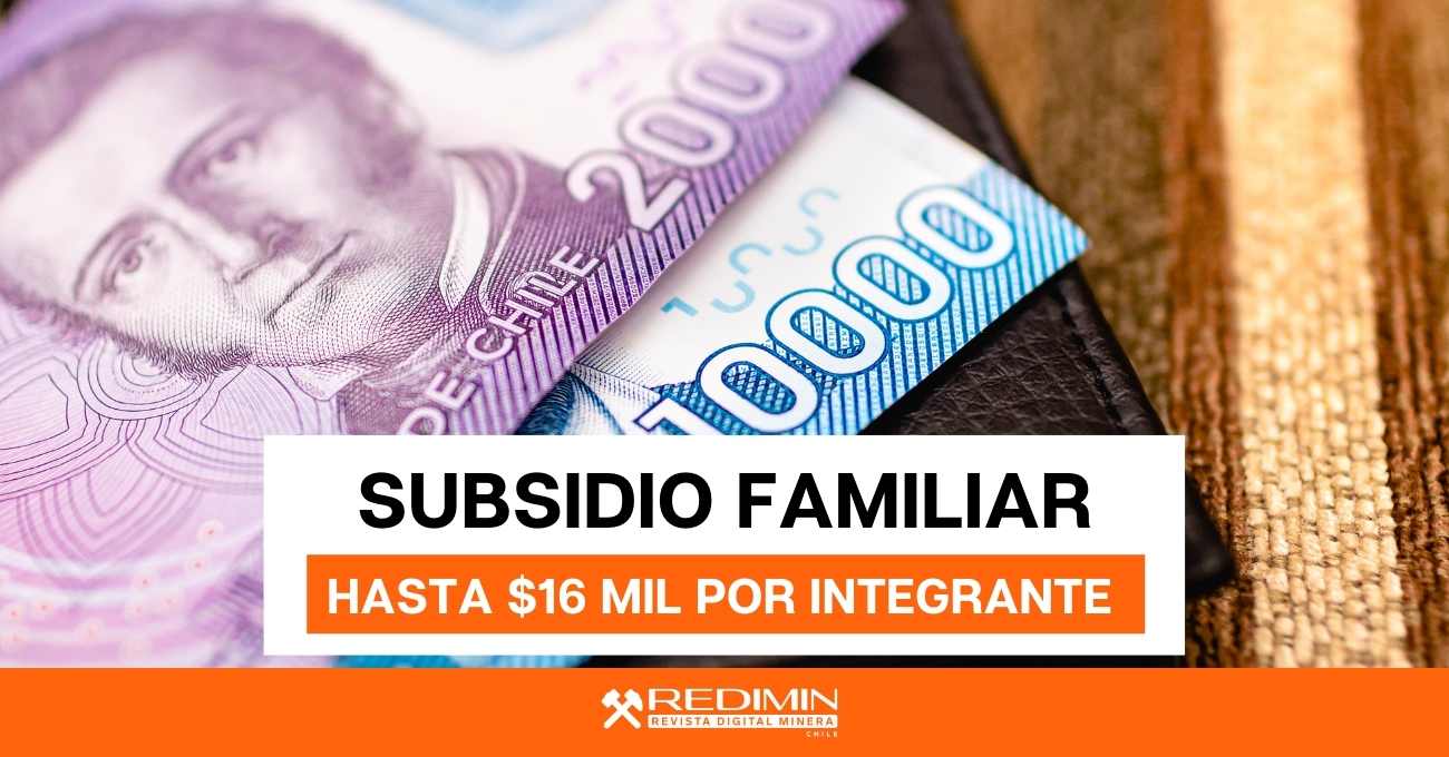 Revisa con tu rut fecha de pago subsidio familiar revista digital