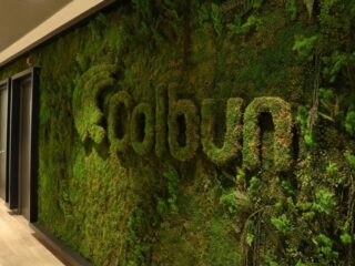 Colbún proyecta instalar al menos 400 MW de proyectos solares y eólicos en Perú