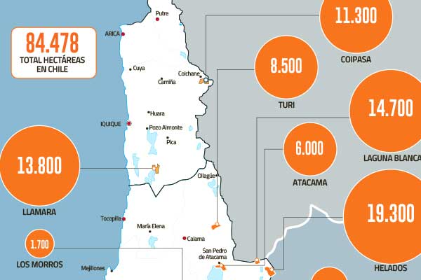 Lithium Chile: firma de inversionista chino que fue expulsado de Canadá tiene 16 proyectos en el Norte Grande