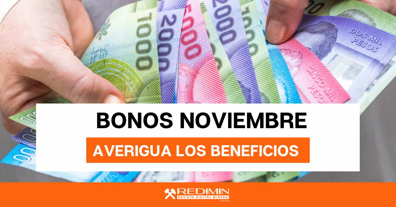 Bonos de noviembre: ¿A qué beneficios puedo postular este mes?
