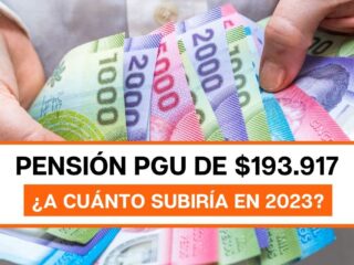 PGU actual de $193.917 subiría de monto el próximo año