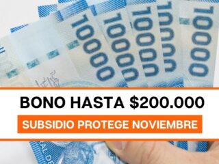 Revisa con tu RUT si recibes $200.000 por Subsidio Protege
