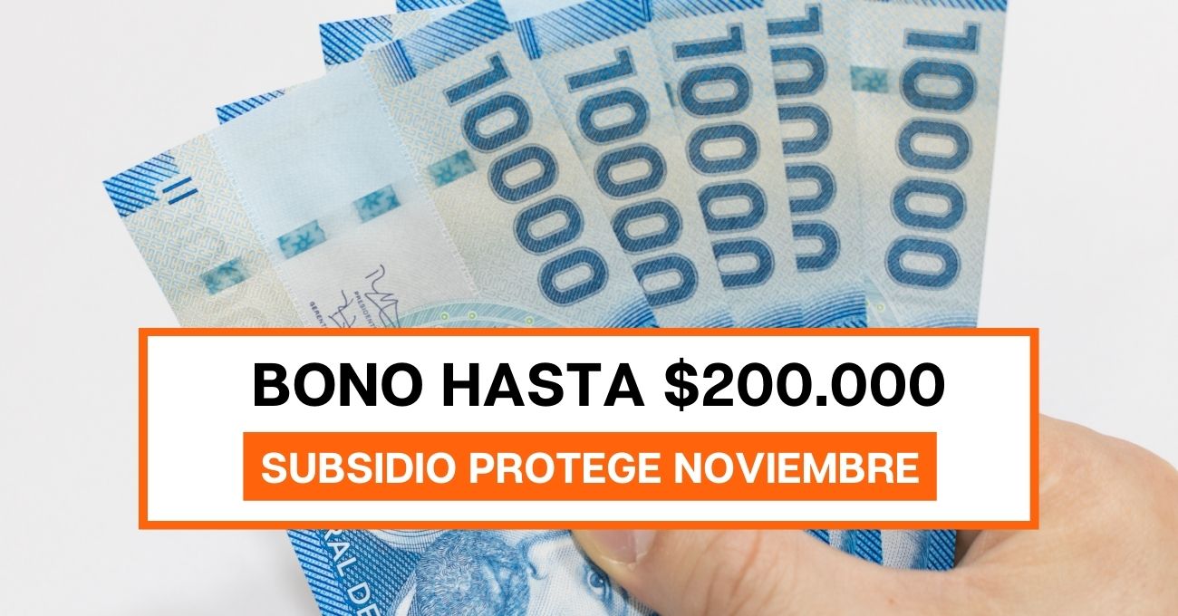 Revisa con tu RUT si recibes $200.000 por Subsidio Protege