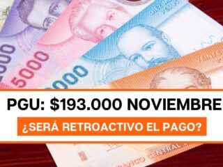 PGU: ¿Será retroactivo el pago de $193.000?