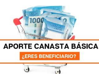 Aporte Canasta Básica: ¿Revisa con tu RUT si eres beneficiario?