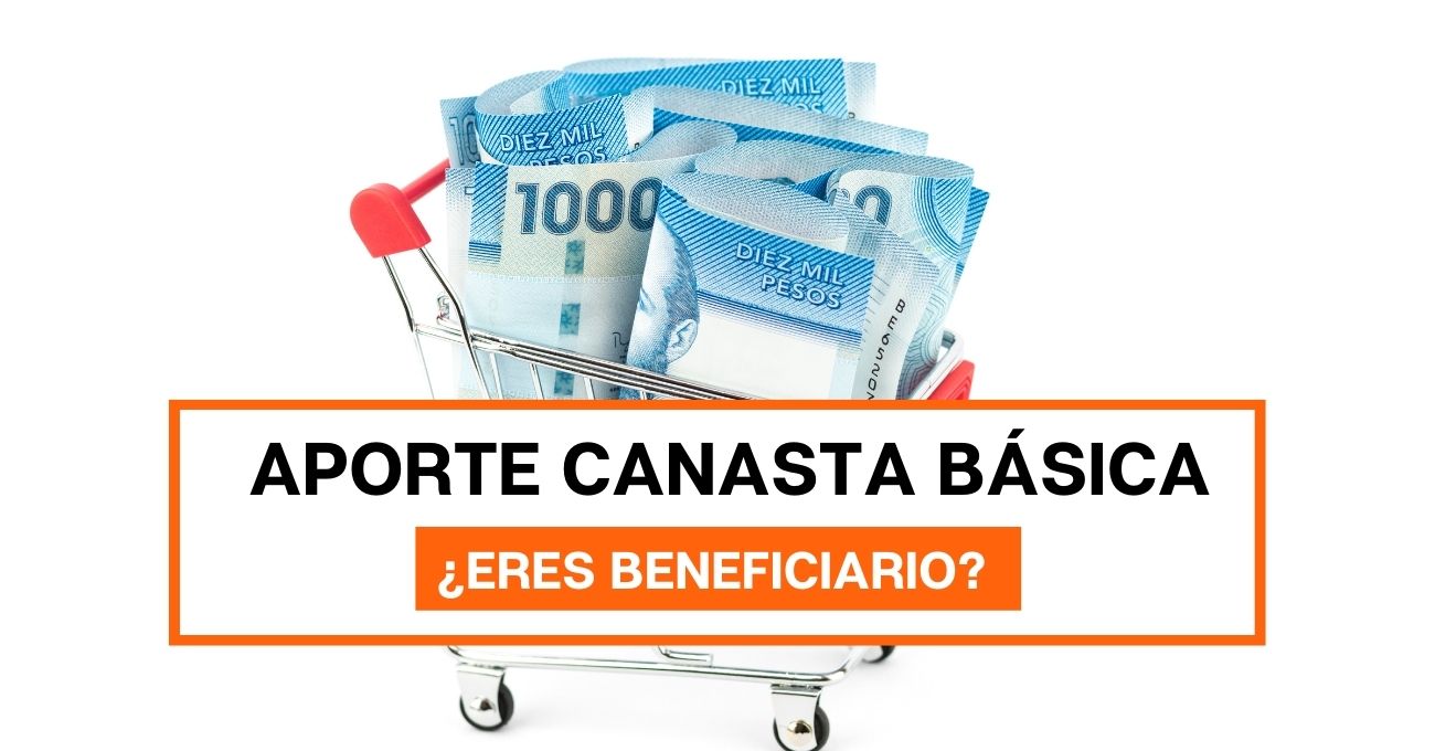 Aporte Canasta Básica: ¿Revisa con tu RUT si eres beneficiario?