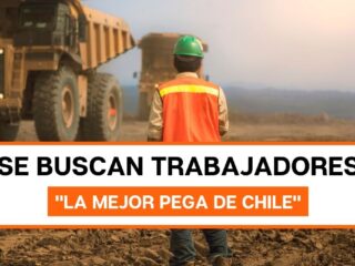 "La mejor pega de chile" busca trabajadores para operaciones