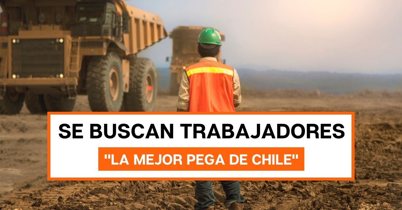 "La mejor pega de chile" busca trabajadores para operaciones