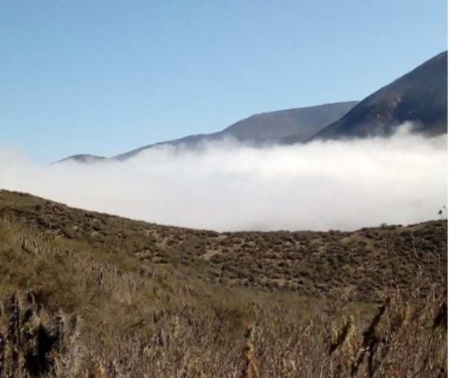 Presentan demanda contra minera Vizcachitas Holding por contaminación y modificación de Río Rocín