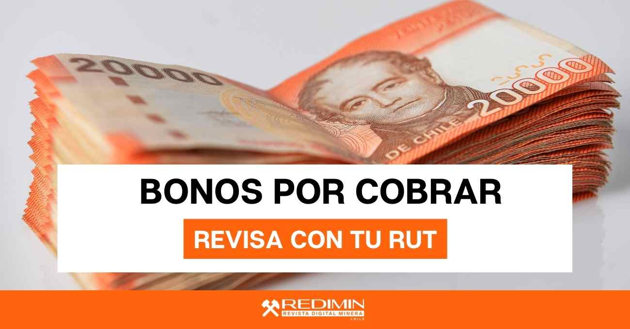 Bonos pendientes: Consulta con tu RUT si tienes pagos por cobrar