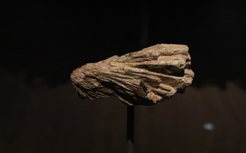 La minería electrocinética permite una recuperación ecológica y eficiente de las tierras raras