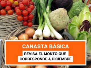 Canasta Básica: Revisa el monto del aporte