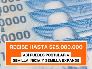 Hasta $25.000.000 en aportes: ¿Hasta cuando se puede postular a Semilla Inicia y Semilla Expande?
