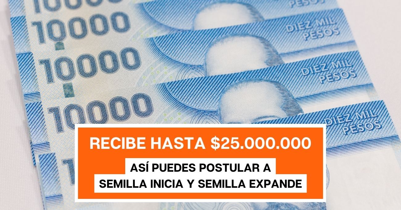 Hasta $25.000.000 en aportes: ¿Hasta cuando se puede postular a Semilla Inicia y Semilla Expande?