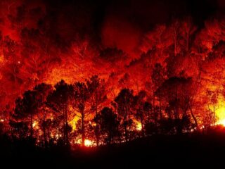 Revista REDIMIN invita a unirse y donar a través de Desafío Levantemos Chile para Levantar Viña del Mar