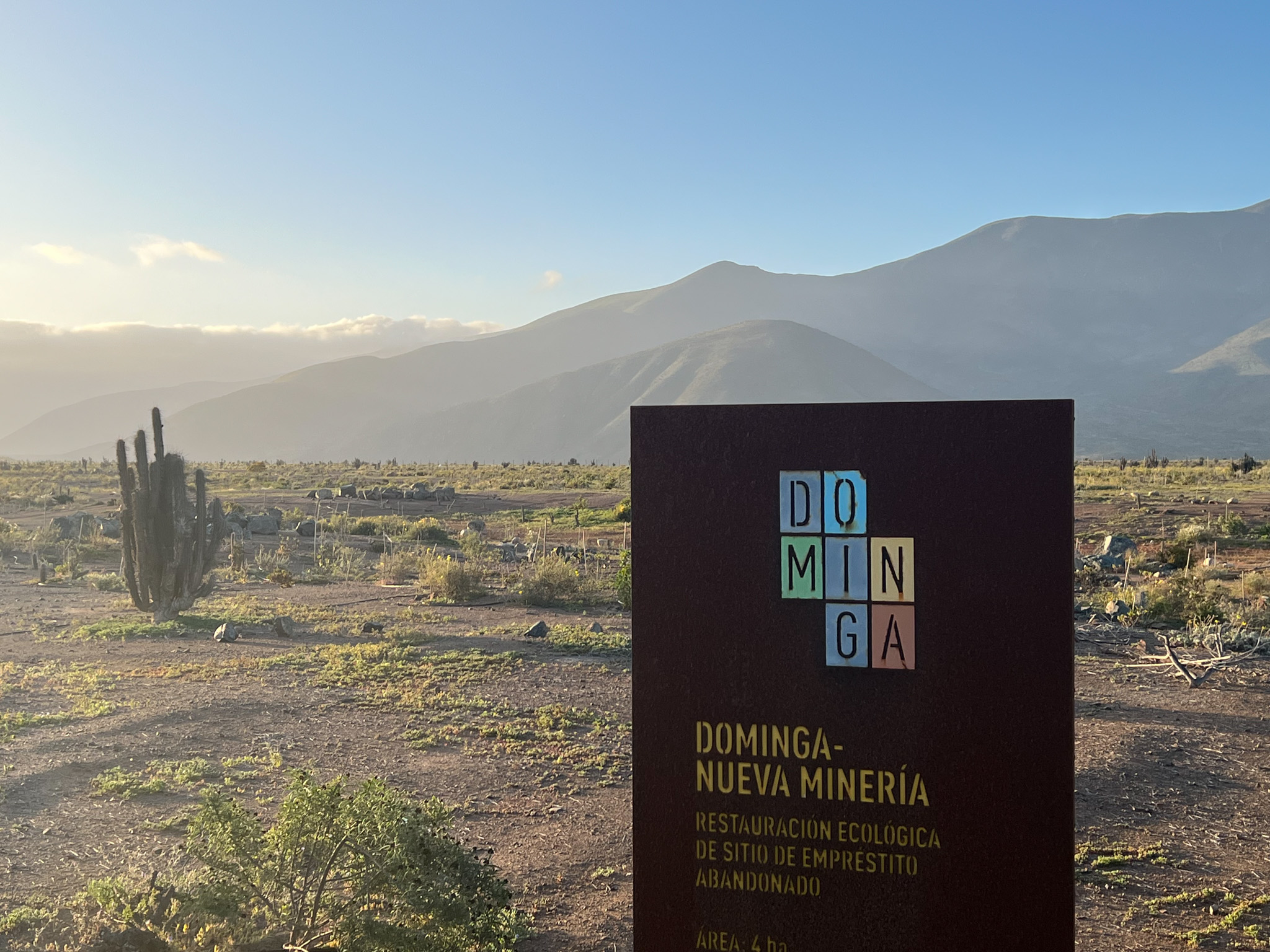 Andes Iron defenderá en Tribunal Ambiental méritos técnicos de Minera Dominga