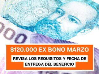 Aporte Familiar Permanente: ¿Quiénes podrán recibir el ex Bono Marzo duplicado?