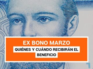Ex-Bono Marzo: Revisa con tu RUT si eres beneficiario