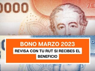 Bono Marzo: Revisa fácilmente con tu rut si recibes
