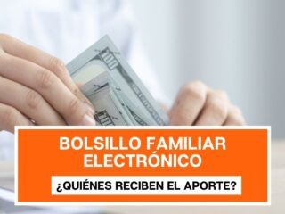 Bolsillo Familiar Electrónico: ¿Quiénes reciben el aporte en su Cuenta RUT?