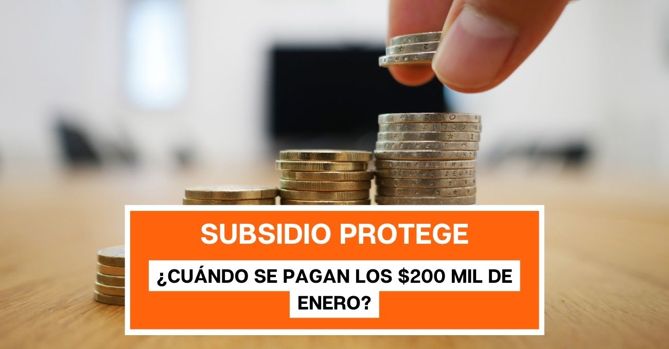 Subsidio Protege: ¿Cuándo se pagan los $200 mil de enero?