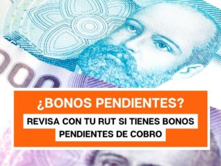 ¿Bonos pendientes? Revisa con tu RUT si tienes dinero por cobrar