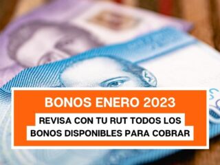 Bonos para trabajadores Enero 2023: Revisa con tu RUT