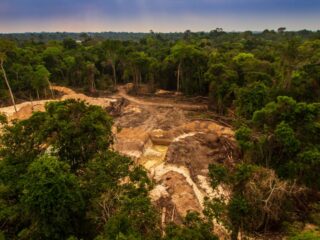 Brasil debería trabajar con otros países para frenar el comercio ilegal de oro, dice lobby minero