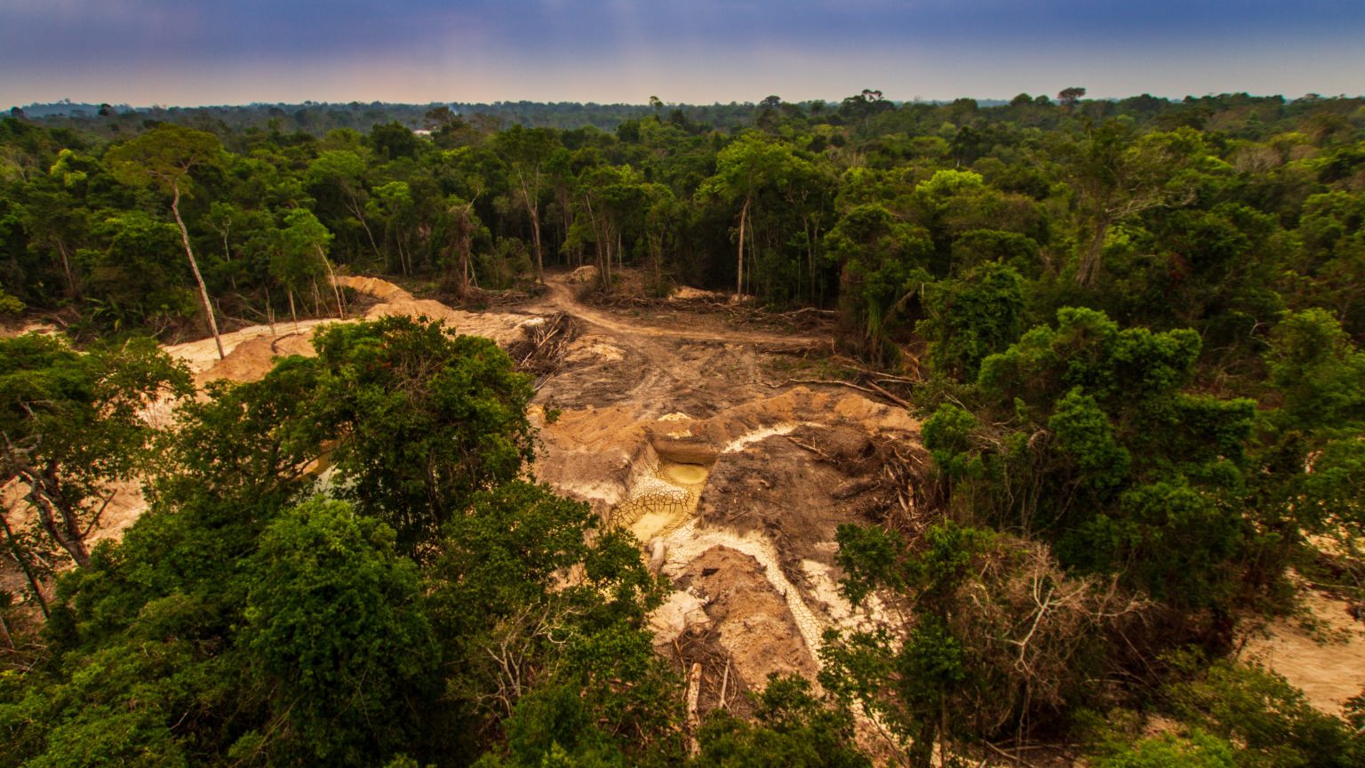 Brasil debería trabajar con otros países para frenar el comercio ilegal de oro, dice lobby minero