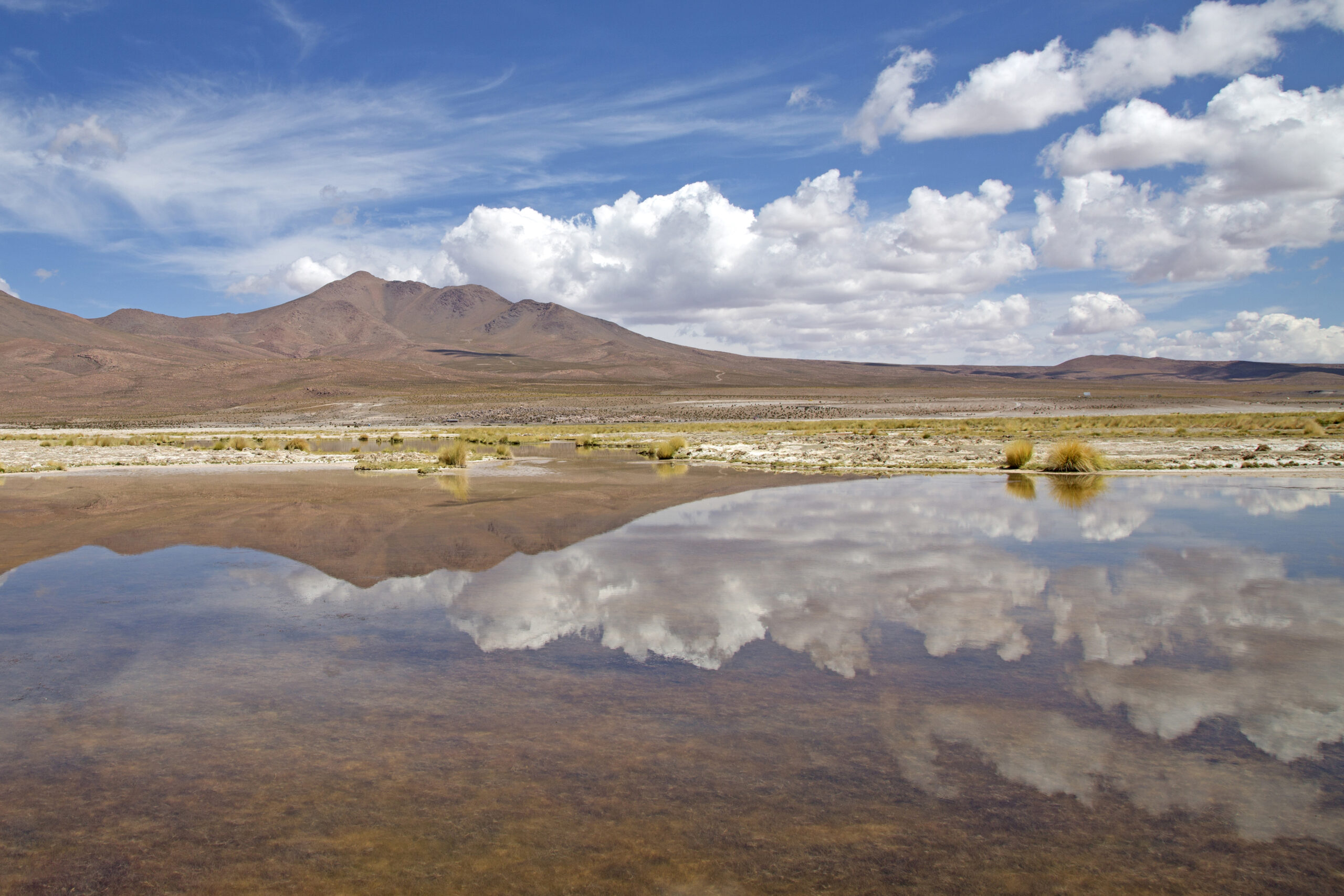 Responsabilidad con el medio ambiente: Empresas mineras enfocan sus buenas prácticas en esta temática