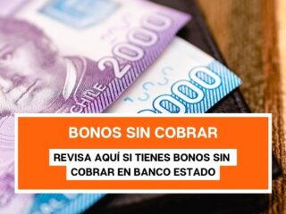 ¿Eres chileno y tienes un RUT? ¡Descubre si tienes bonos pendientes en Banco Estado!