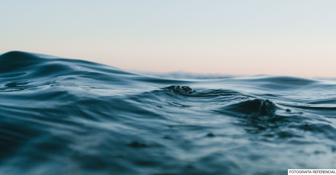 Un estudio muestra que la extracción de cobalto y níquel del fondo marino reduce drásticamente el impacto ambiental de los metales de las baterías