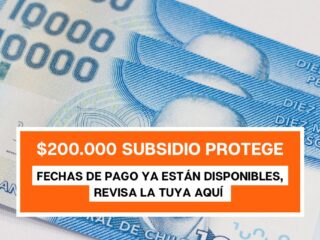 $200.000 por Subsidio Protege: Revisa con tu rut la fecha del último pago
