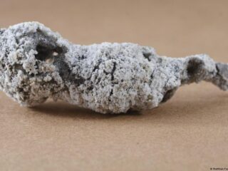 Material formado por un rayo que cayó sobre un árbol en Florida puede ser un nuevo mineral