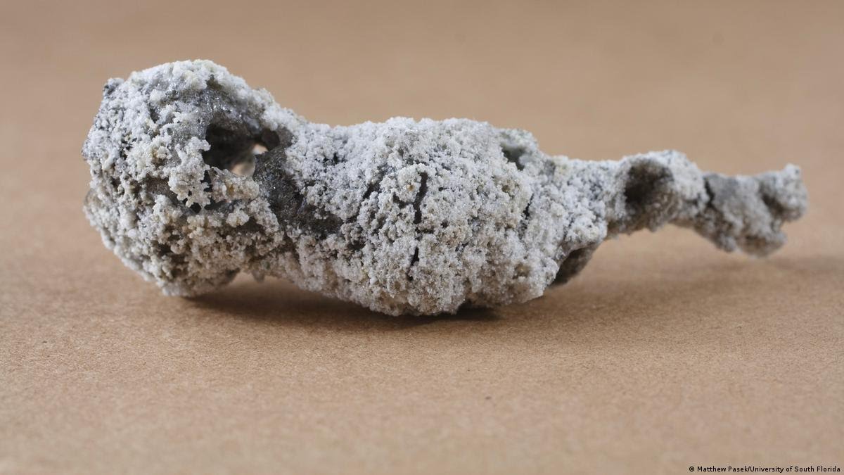 Material formado por un rayo que cayó sobre un árbol en Florida puede ser un nuevo mineral
