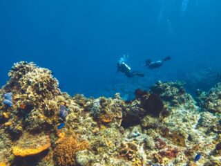 Cascadia: una falla submarina de más de 1.100 kilómetros de largo