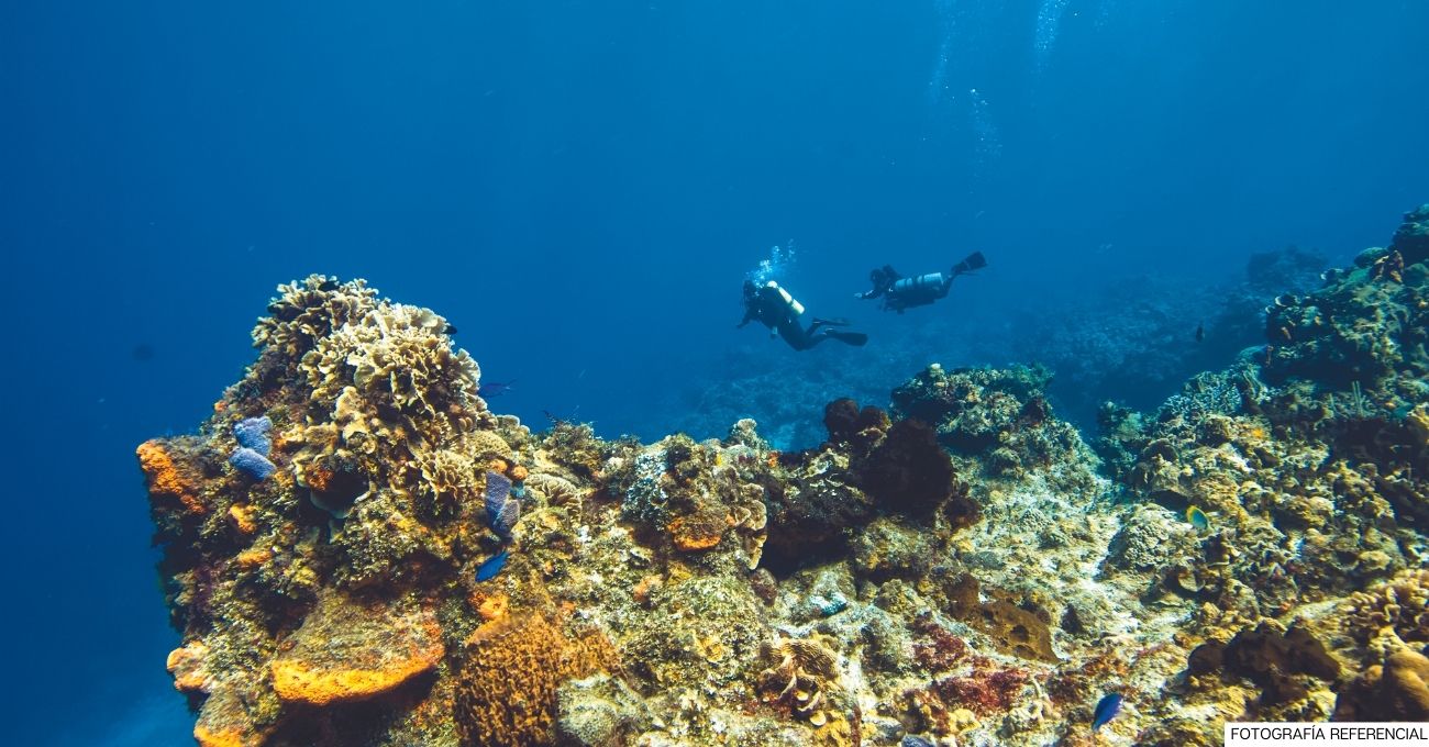 Cascadia: una falla submarina de más de 1.100 kilómetros de largo