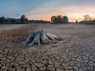 El futurista proyecto que combate la crisis hídrica ahorrando un 30% de agua