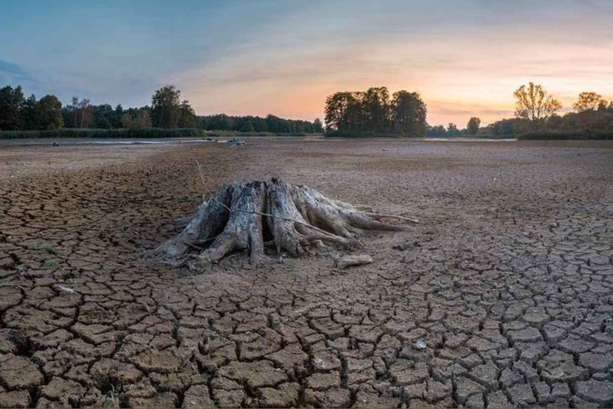 El futurista proyecto que combate la crisis hídrica ahorrando un 30% de agua