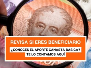 Aporte Canasta Básica: Revisa con tu RUT si te corresponde el último pago