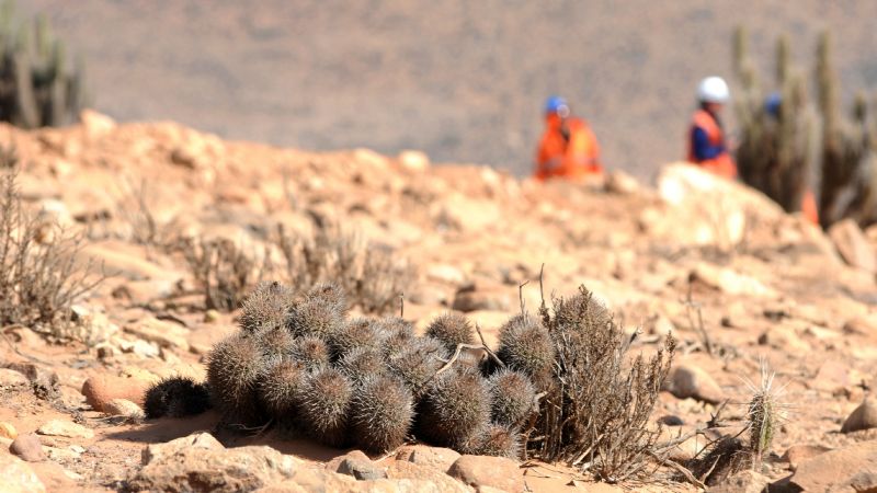 Descubren depósito mineral de Oro y Cobre de 1 kilómetro en comuna de La Higuera