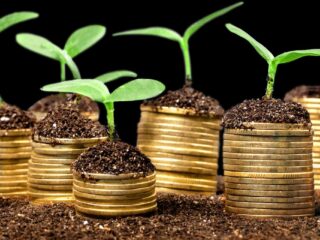 Una nueva forma de ahorrar: ¿Qué es un depósito a plazo y cómo genera ganancias?