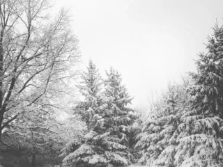 El Solsticio de Invierno: Una Celebración Global de la Renovación Estacional