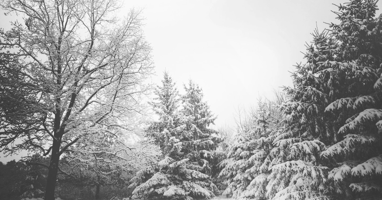 El Solsticio de Invierno: Una Celebración Global de la Renovación Estacional