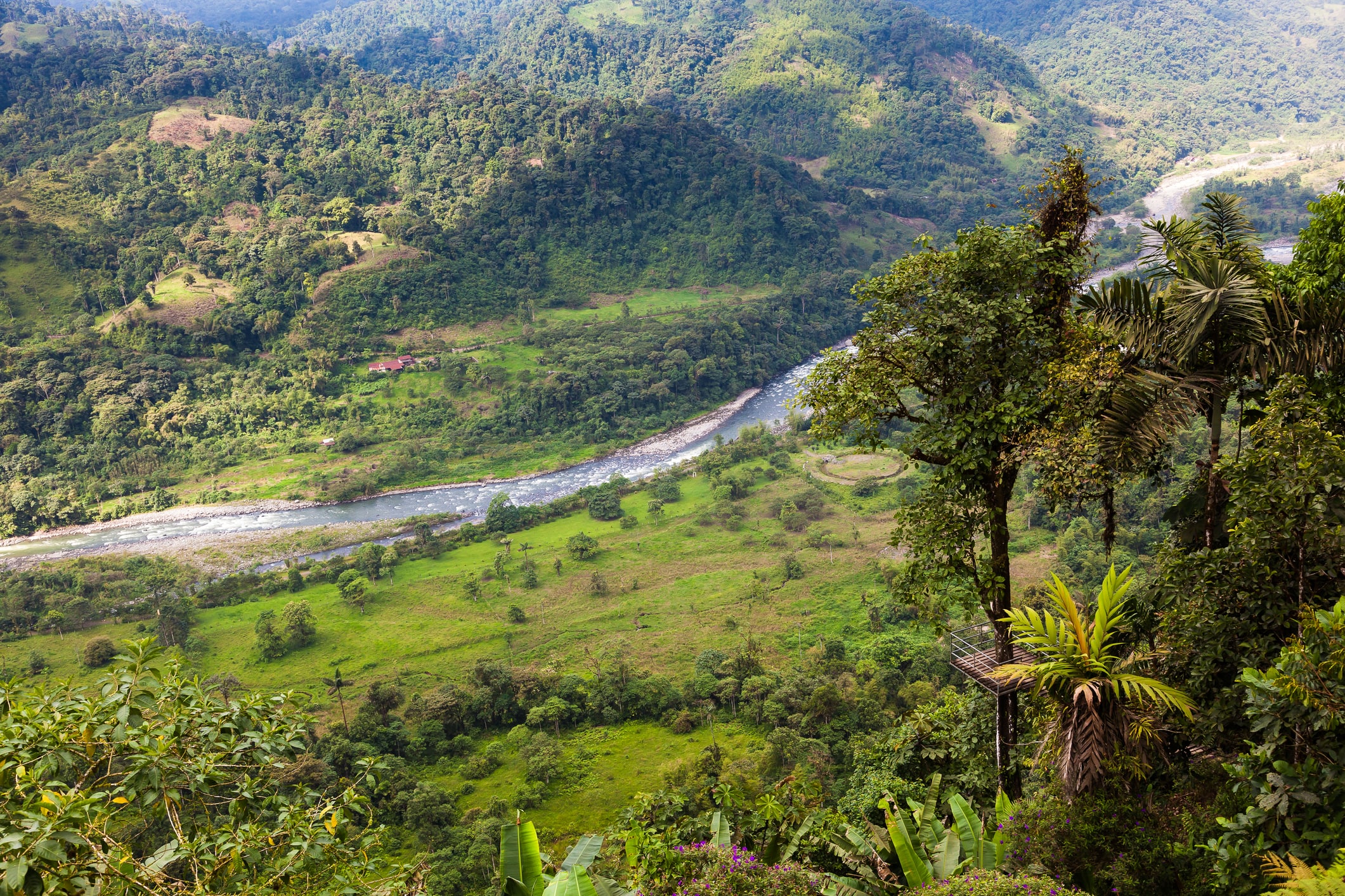 Ecuador realizará referéndum minero en medio de disputas por áreas protegidas
