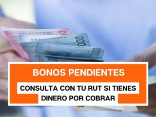 Bonos pendientes: consulta con tu RUT si tienes dinero por cobrar