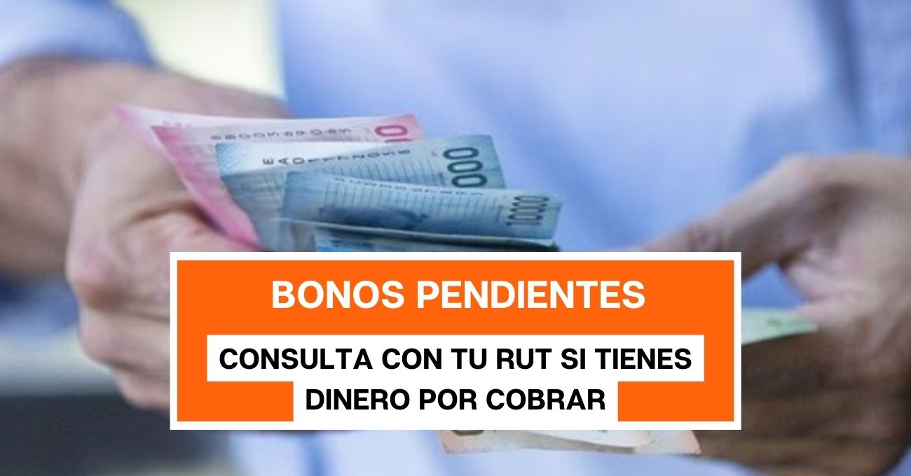 Bonos pendientes: consulta con tu RUT si tienes dinero por cobrar